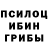 Галлюциногенные грибы мицелий BaTryFlame
