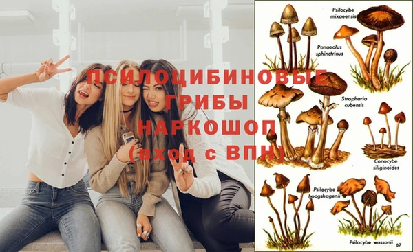 дмт Абдулино