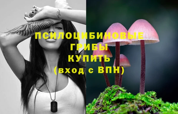 кокс Алексеевка