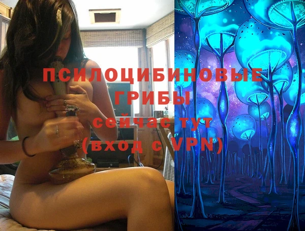 mdpv Алзамай