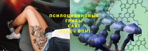 mdpv Алзамай