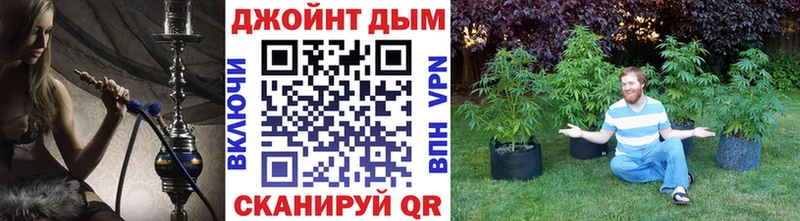 Бошки Шишки LSD WEED Злынка